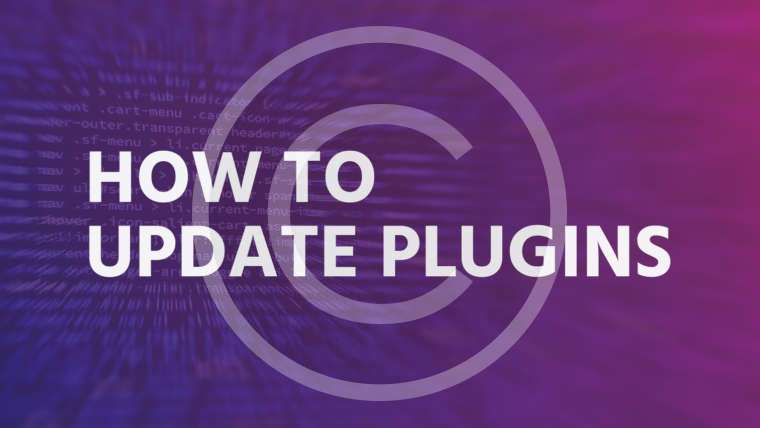 How to update plugins