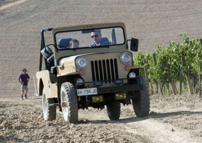 Varietal Labelling Of New World Wines