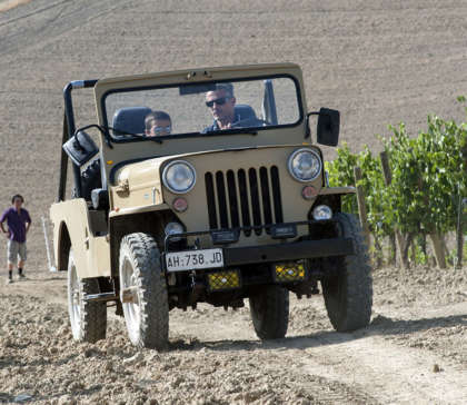 Varietal Labelling Of New World Wines